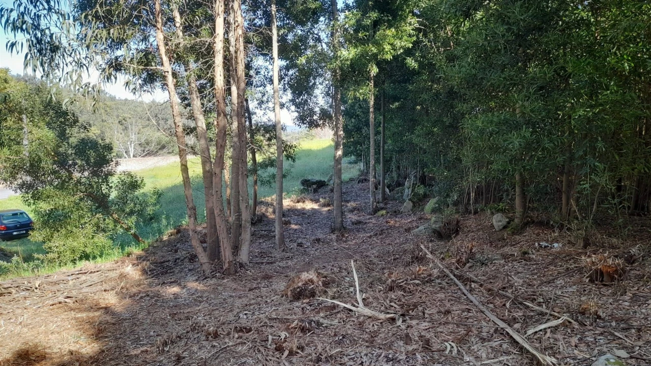 Terreno para Venda em Vilar de Mouros Foto 14