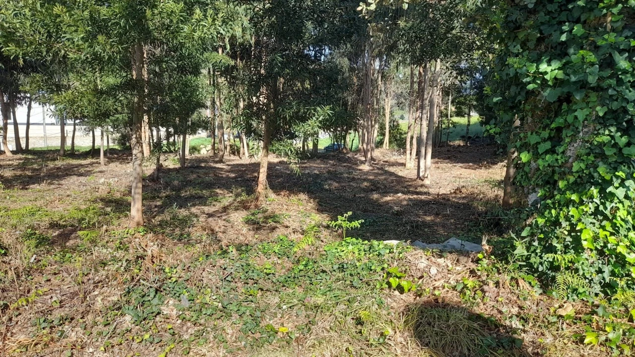 Terreno para Venda em Vilar de Mouros Foto 16