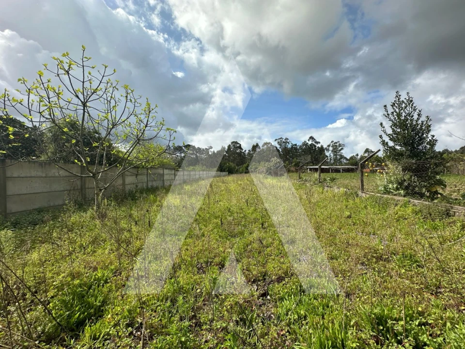 Moradia T2 para Venda em Ouca Foto 20