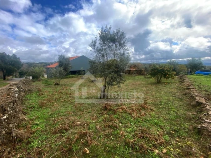 Terreno Agricola ou Rústico para Venda em Pedrogão Grande Foto 4