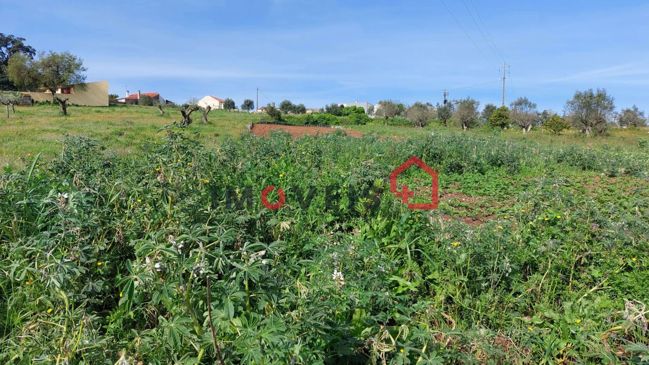 Terreno para Venda em Atouguia Foto 3