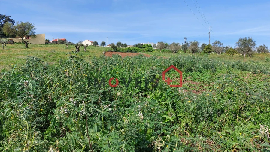 Terreno para Venda em Atouguia Foto 3