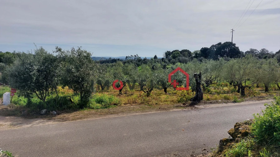 Terreno para Venda em Atouguia Foto 4