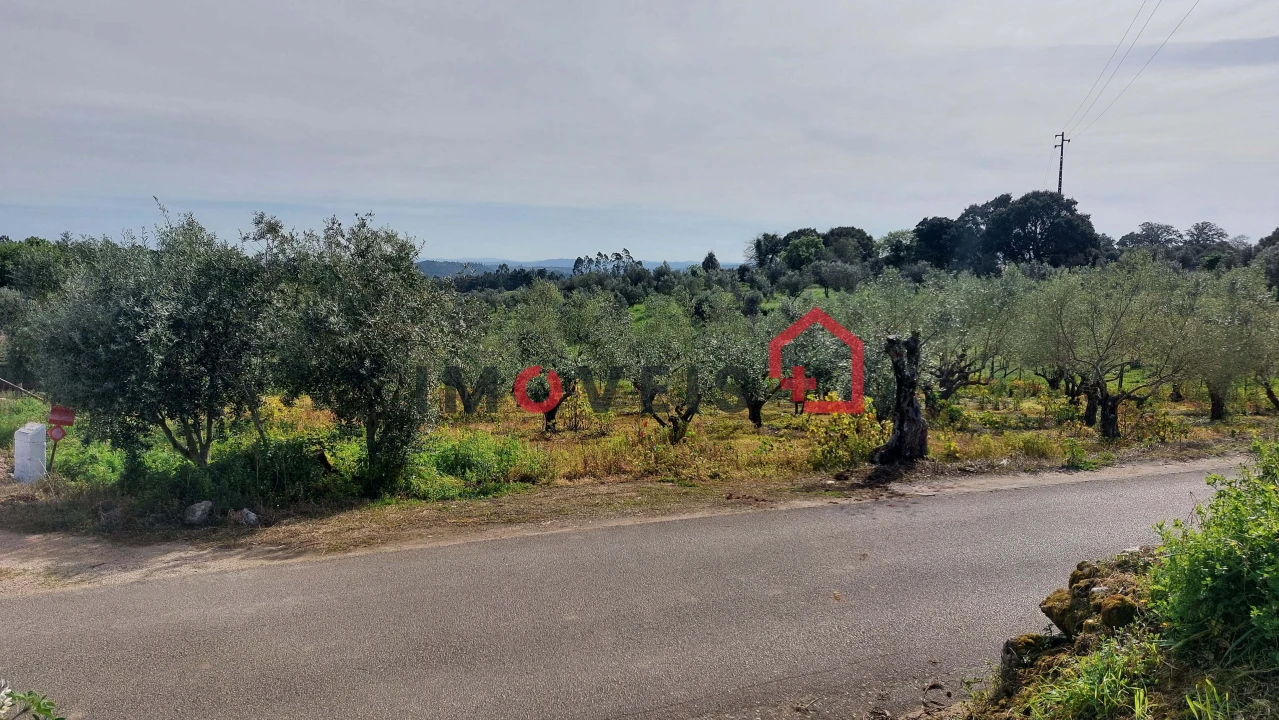 Terreno para Venda em Atouguia Foto 4