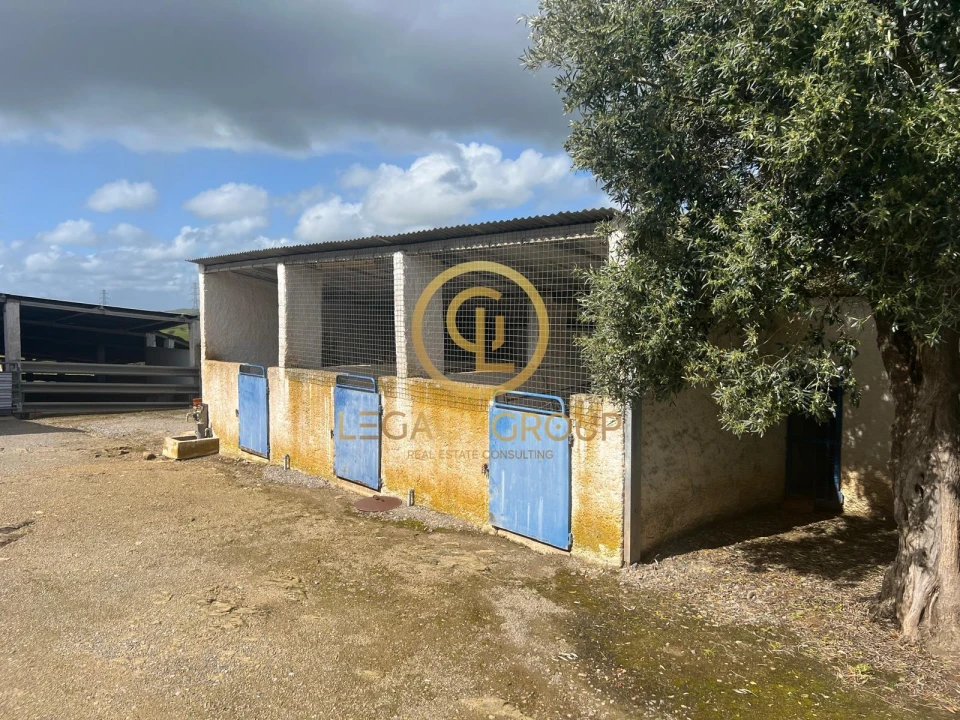 Terreno para Venda em Ourique Foto 8