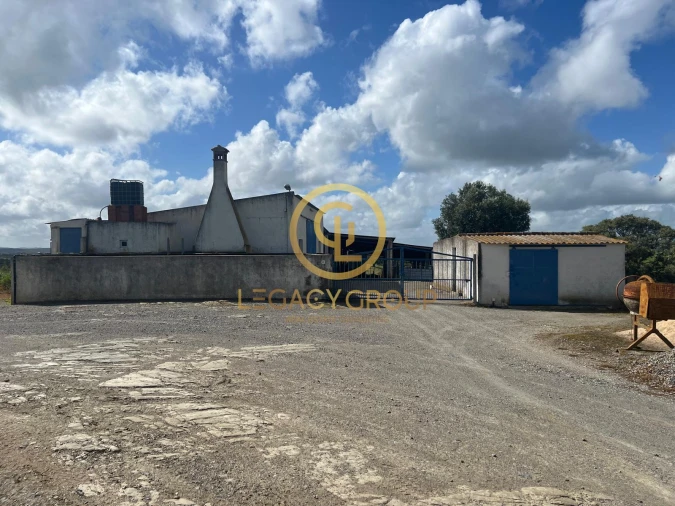 Terreno para Venda em Ourique