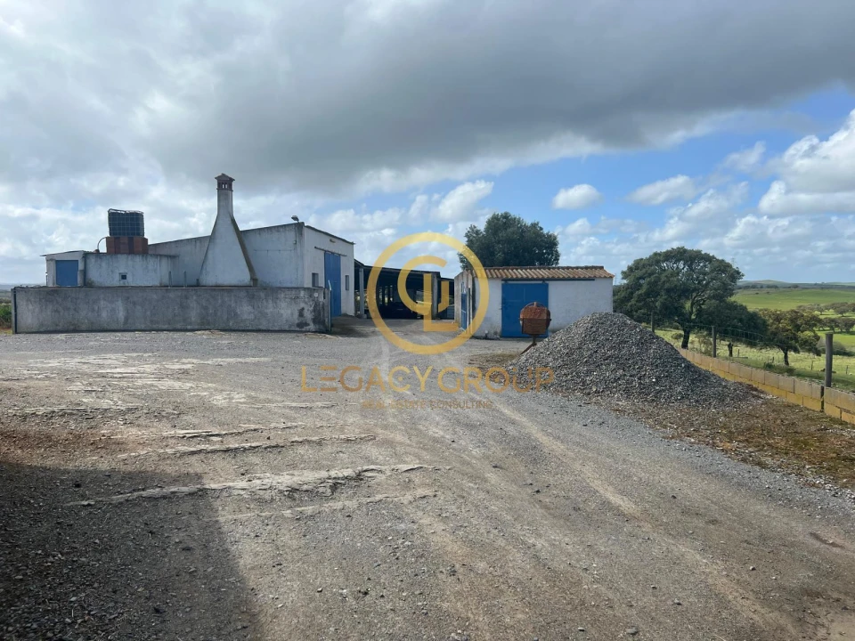 Terreno para Venda em Ourique Foto 2