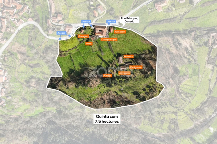 Quinta T5 para Venda em Canedo Foto 7