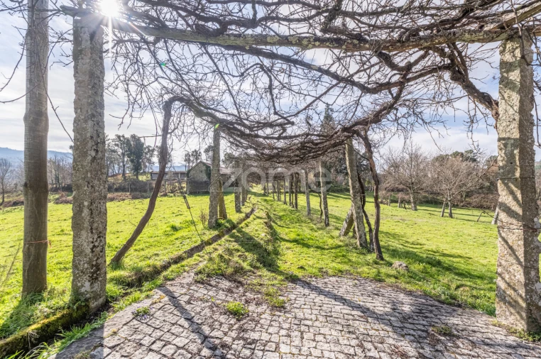 Quinta T5 para Venda em Canedo Foto 35