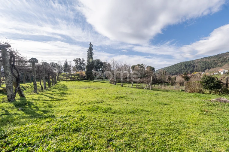 Quinta T5 para Venda em Canedo