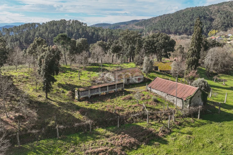 Quinta T5 para Venda em Canedo Foto 38
