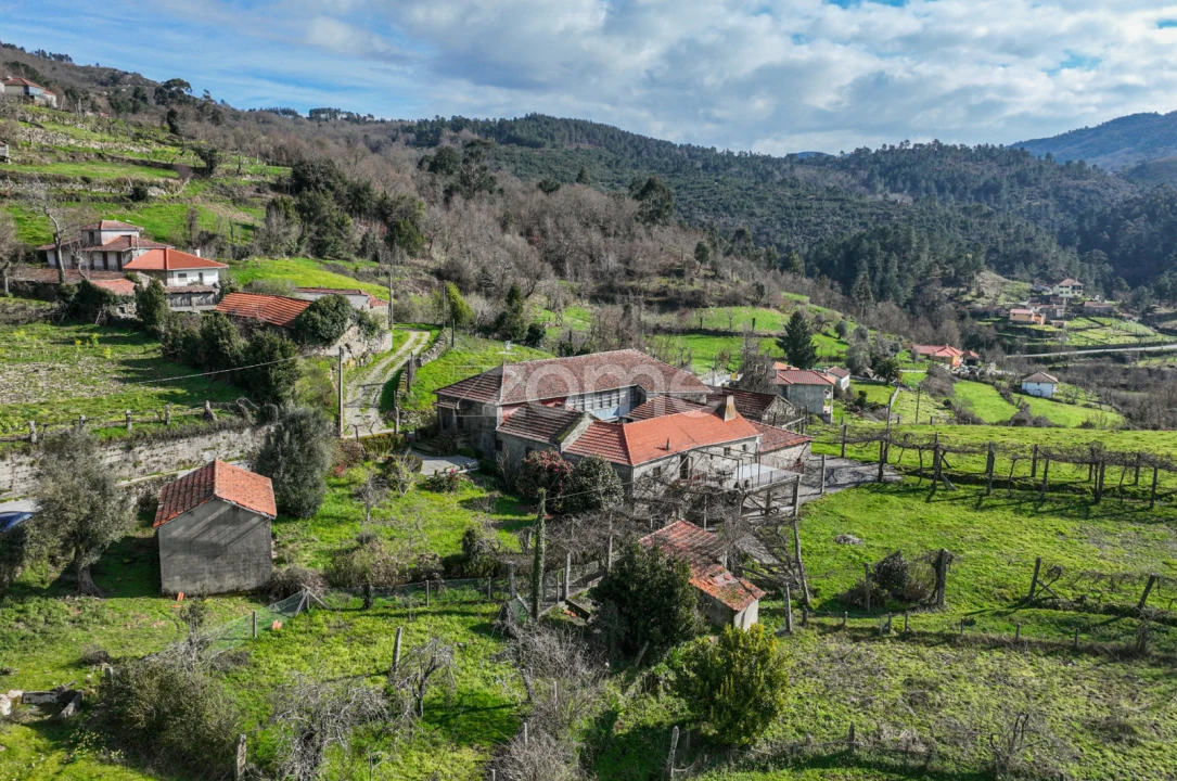 Quinta T5 para Venda em Canedo Foto 5