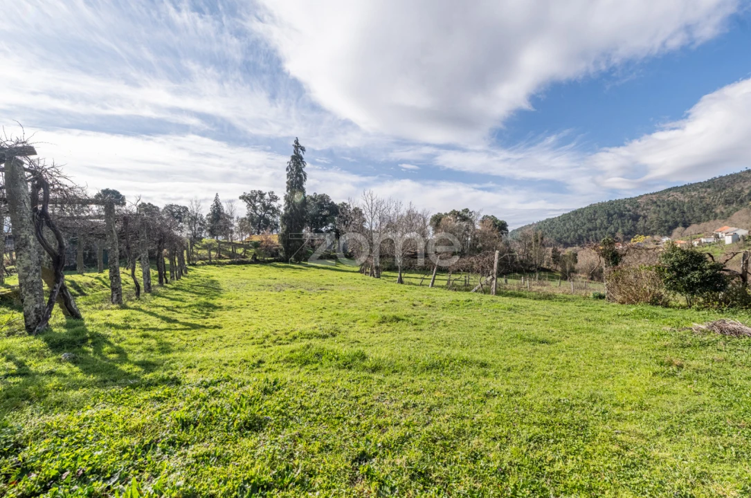 Quinta T5 para Venda em Canedo Foto 1