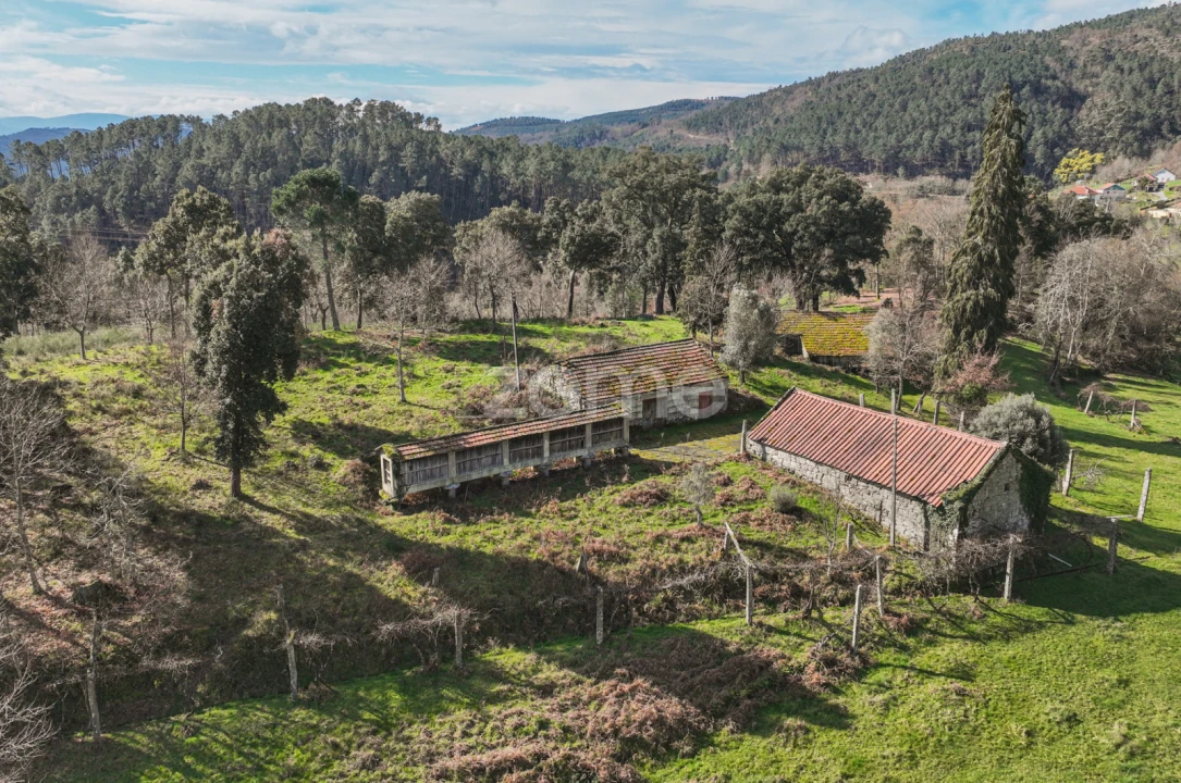 Quinta T5 para Venda em Canedo Foto 38