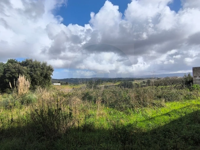 Moradia T4 para Venda em Maiorga Foto 28