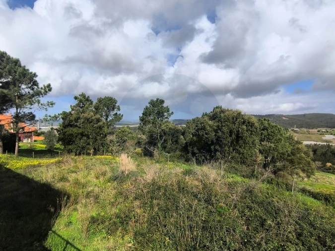 Moradia T4 para Venda em Maiorga Foto 30