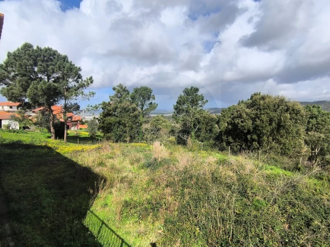 Moradia T4 para Venda em Maiorga Foto 33