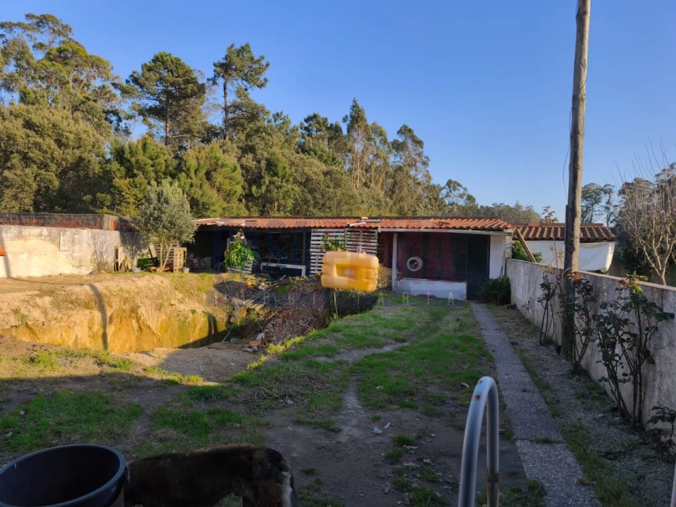 Moradia T4 para Venda em Junqueira Foto 18