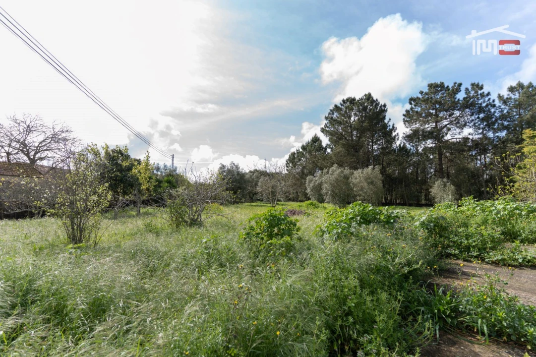 Moradia T3 para Venda em Nossa Senhora da Piedade Foto 29