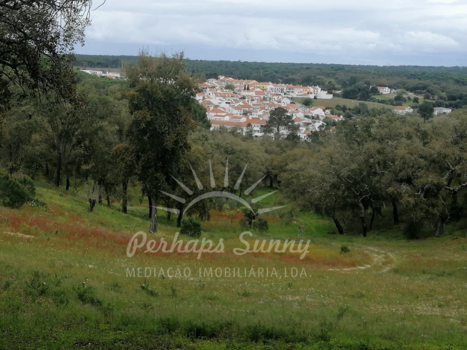 Terreno Misto para Venda em Melides Foto 2