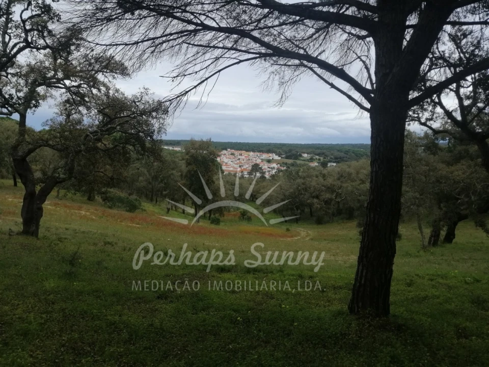 Terreno Misto para Venda em Melides Foto 3