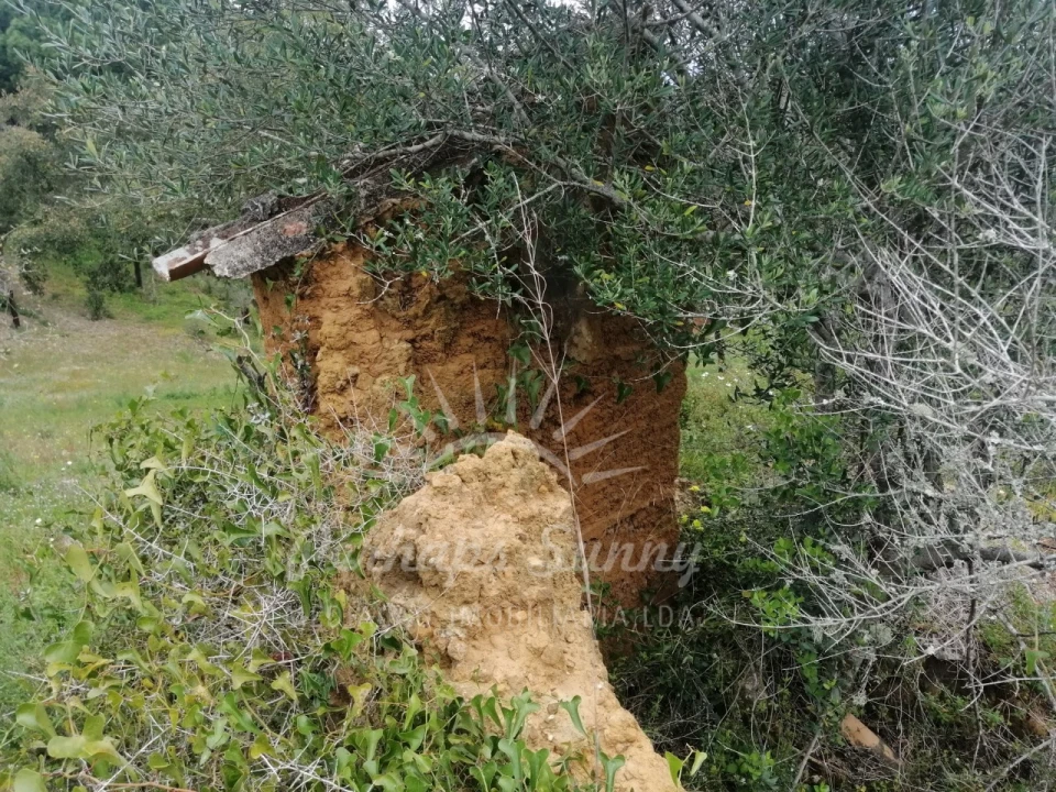 Terreno Misto para Venda em Melides Foto 4