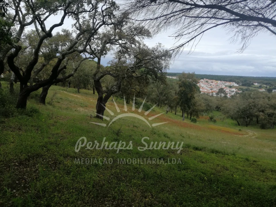 Terreno Misto para Venda em Melides Foto 5