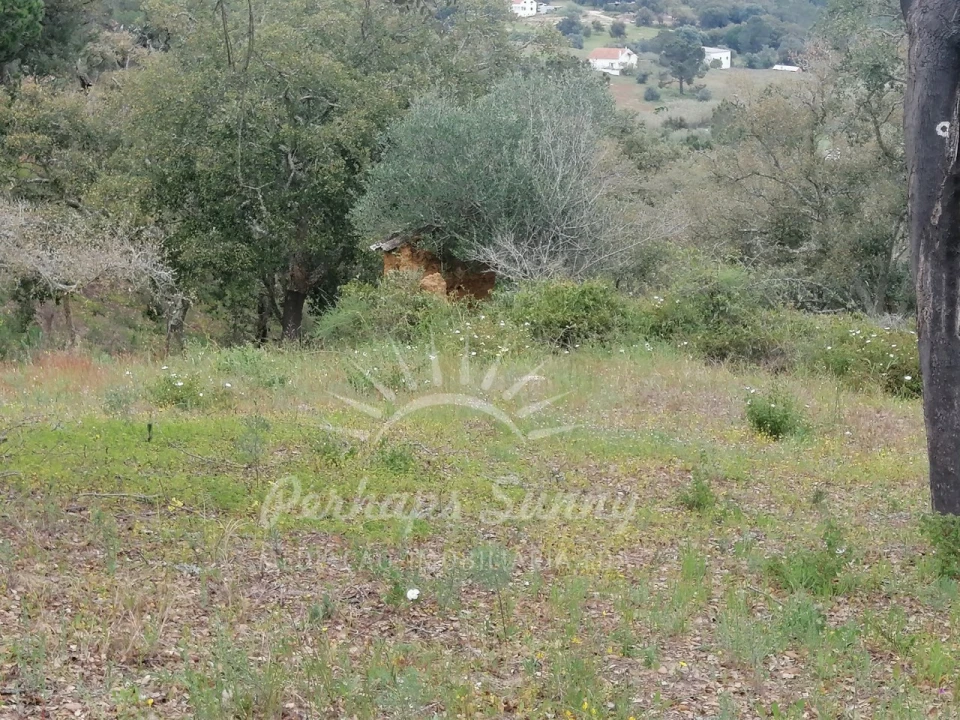 Terreno Misto para Venda em Melides Foto 7