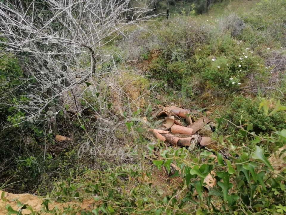 Terreno Misto para Venda em Melides Foto 8