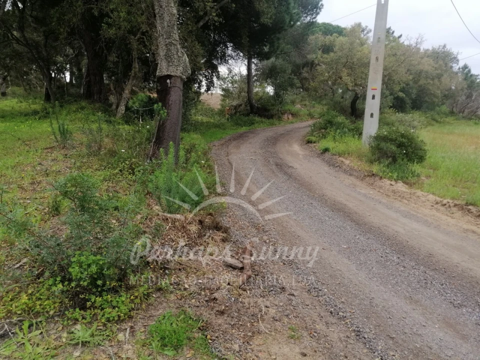 Terreno Misto para Venda em Melides Foto 11