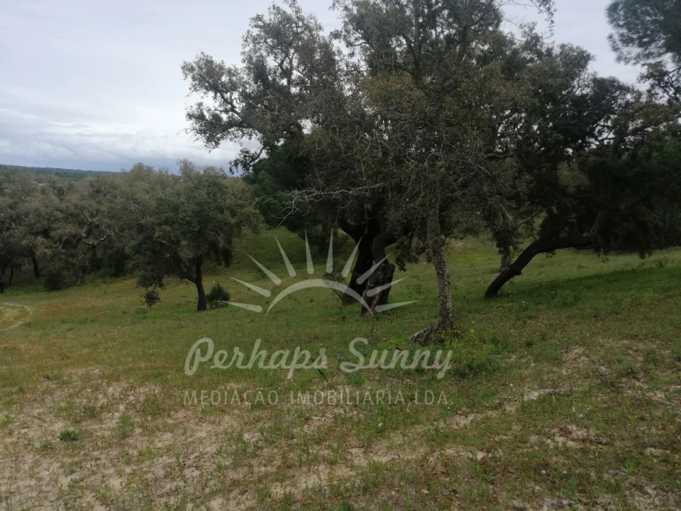 Terreno Misto para Venda em Melides Foto 13