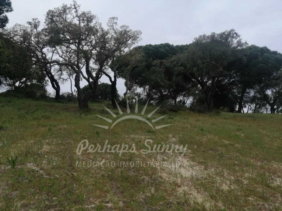 Terreno Misto para Venda em Melides Foto 14