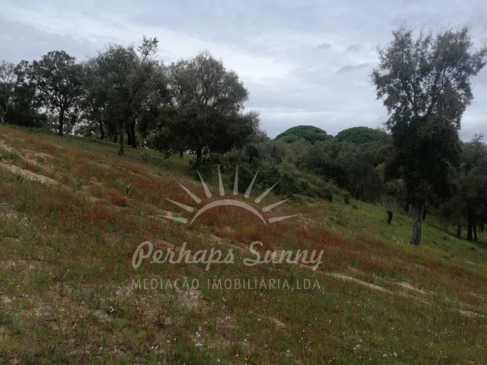 Terreno Misto para Venda em Melides Foto 15