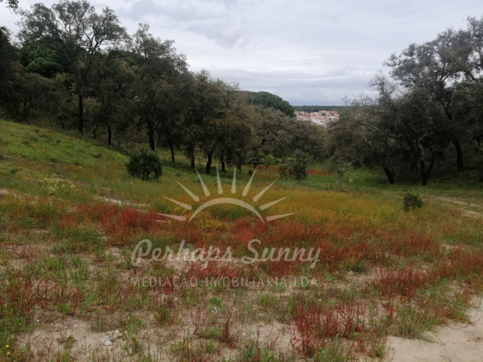 Terreno Misto para Venda em Melides Foto 17