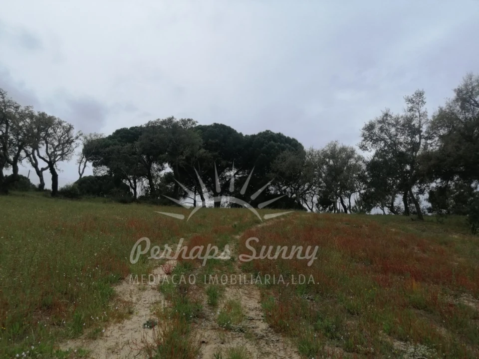 Terreno Misto para Venda em Melides Foto 18