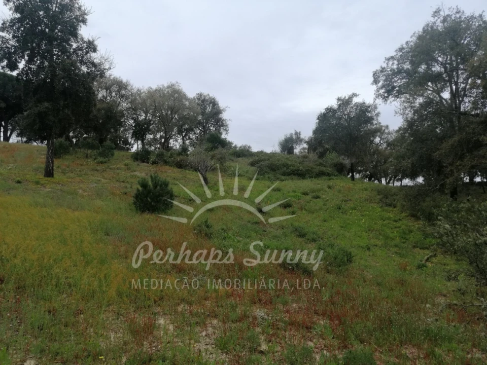 Terreno Misto para Venda em Melides Foto 22