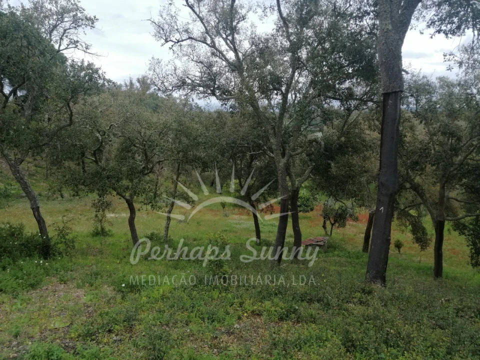 Terreno Misto para Venda em Melides Foto 23