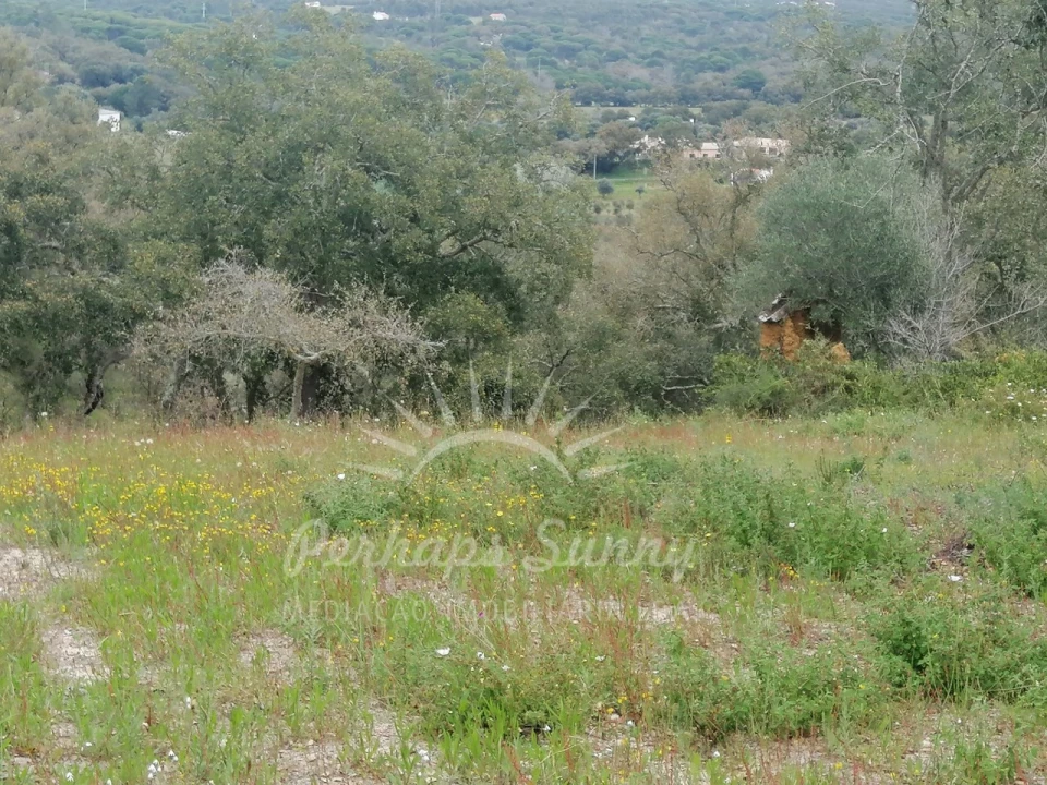 Terreno Misto para Venda em Melides Foto 26