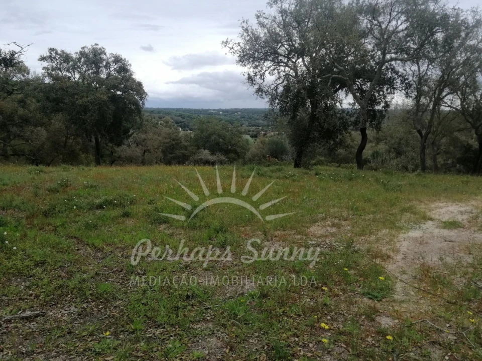 Terreno Misto para Venda em Melides Foto 27