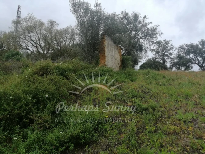 Terreno Misto para Venda em Melides Foto 6