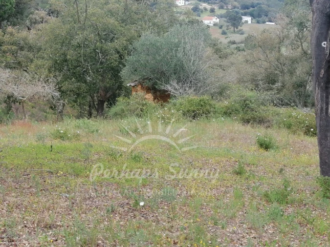 Terreno Misto para Venda em Melides Foto 7