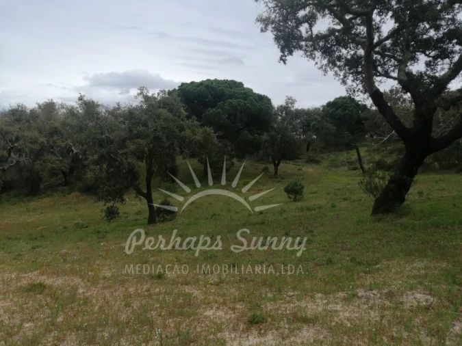 Terreno Misto para Venda em Melides Foto 12