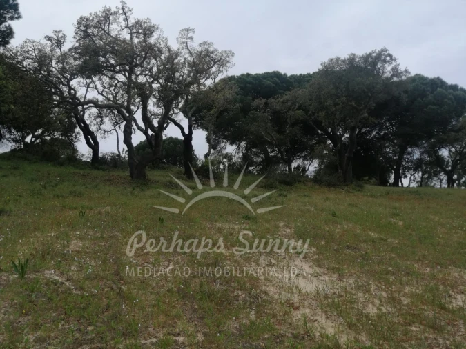 Terreno Misto para Venda em Melides Foto 14