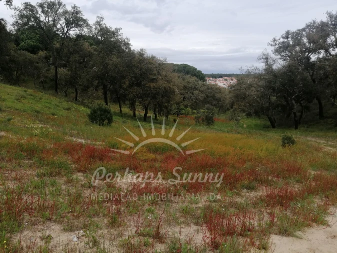 Terreno Misto para Venda em Melides Foto 17