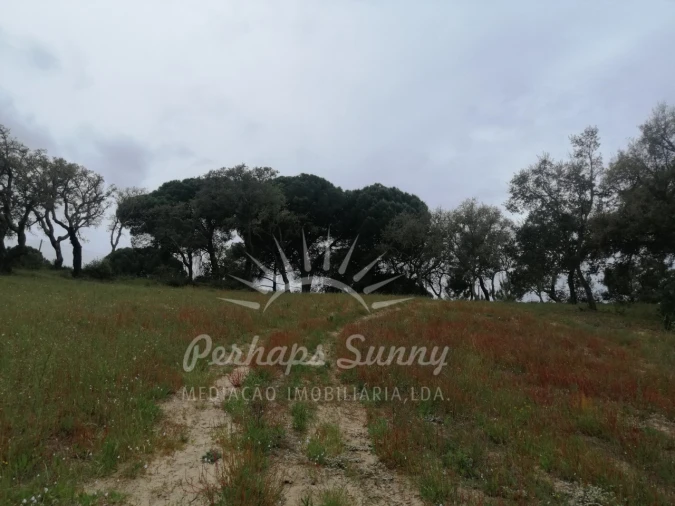 Terreno Misto para Venda em Melides Foto 18