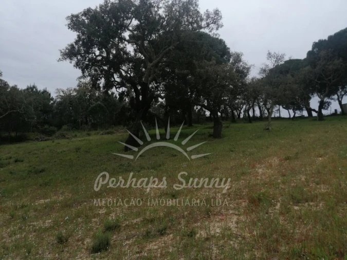 Terreno Misto para Venda em Melides Foto 19