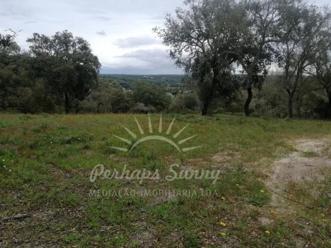 Terreno Misto para Venda em Melides Foto 27