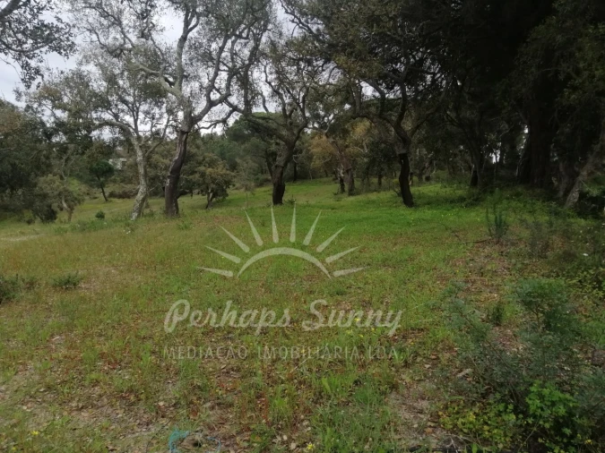 Terreno Misto para Venda em Melides Foto 28