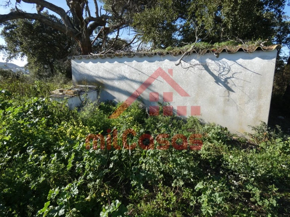 Quinta para Venda em Azueira e Sobral da Abelheira Foto 16