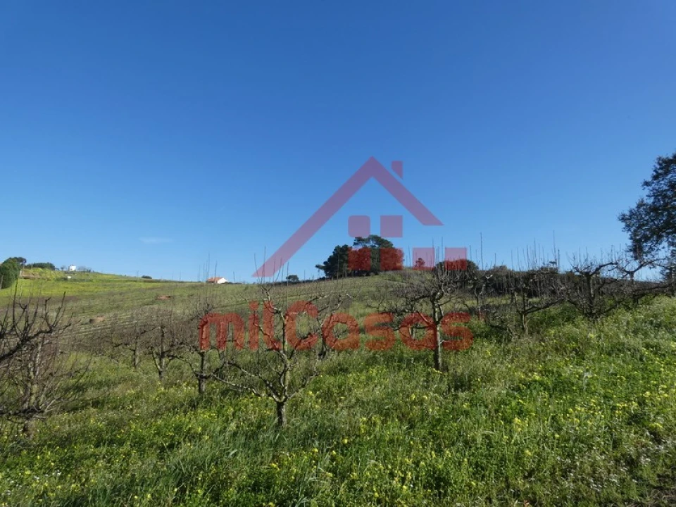 Quinta para Venda em Azueira e Sobral da Abelheira Foto 18